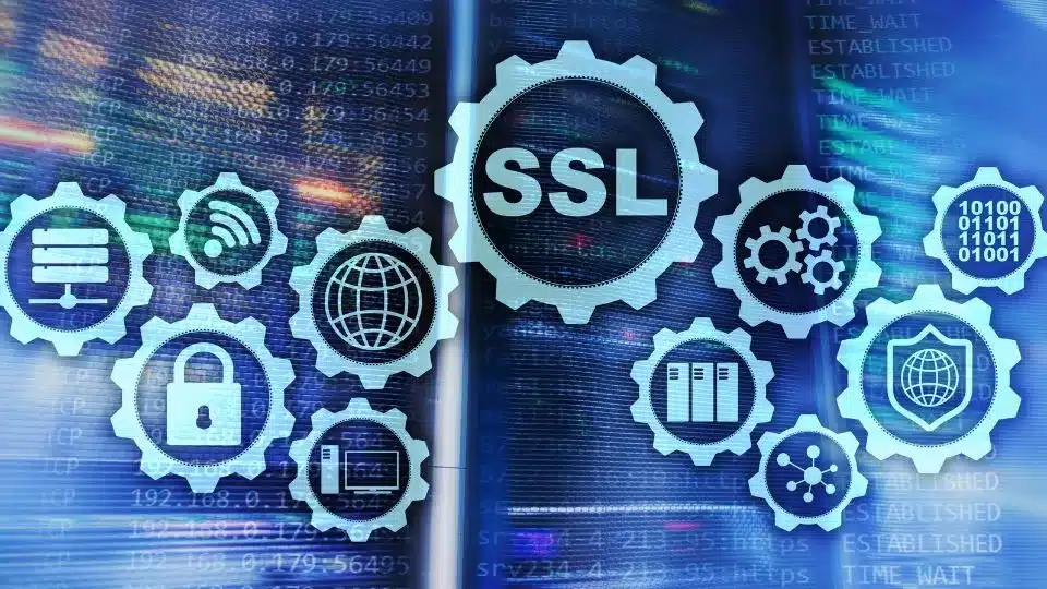 ssl PA真人